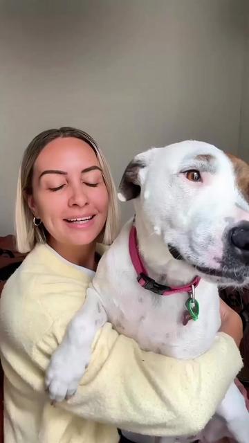 @Auckland Puppy Rescue