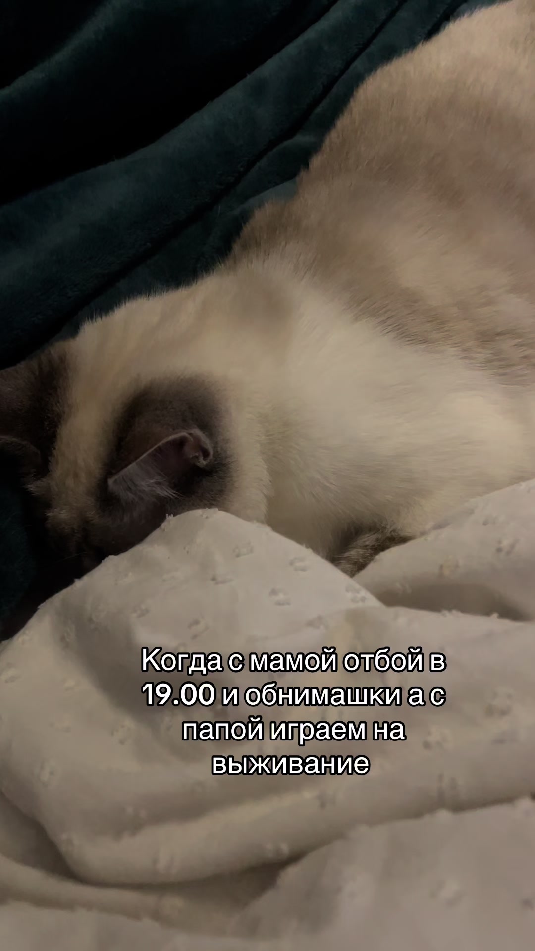 @Тот СамЫй M@ks