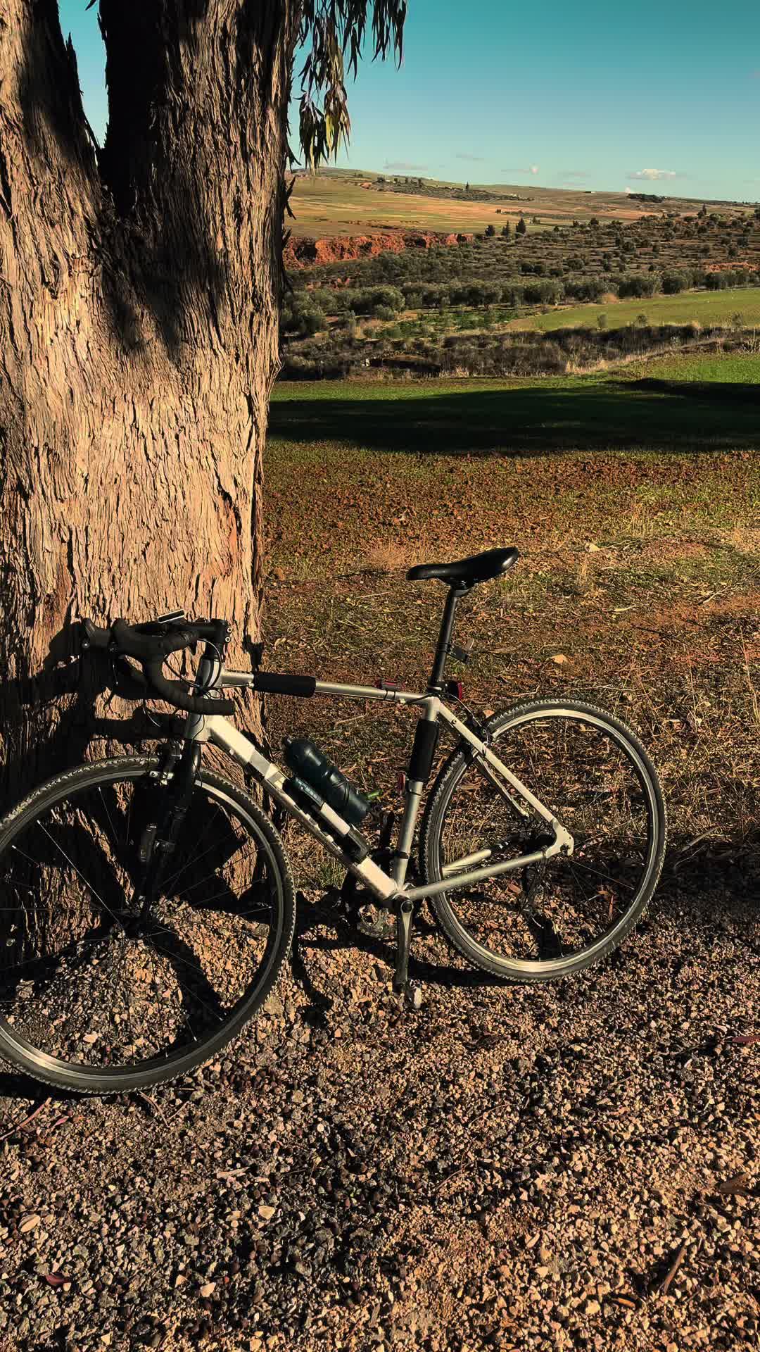 @دراج الشمال 🚵🥇