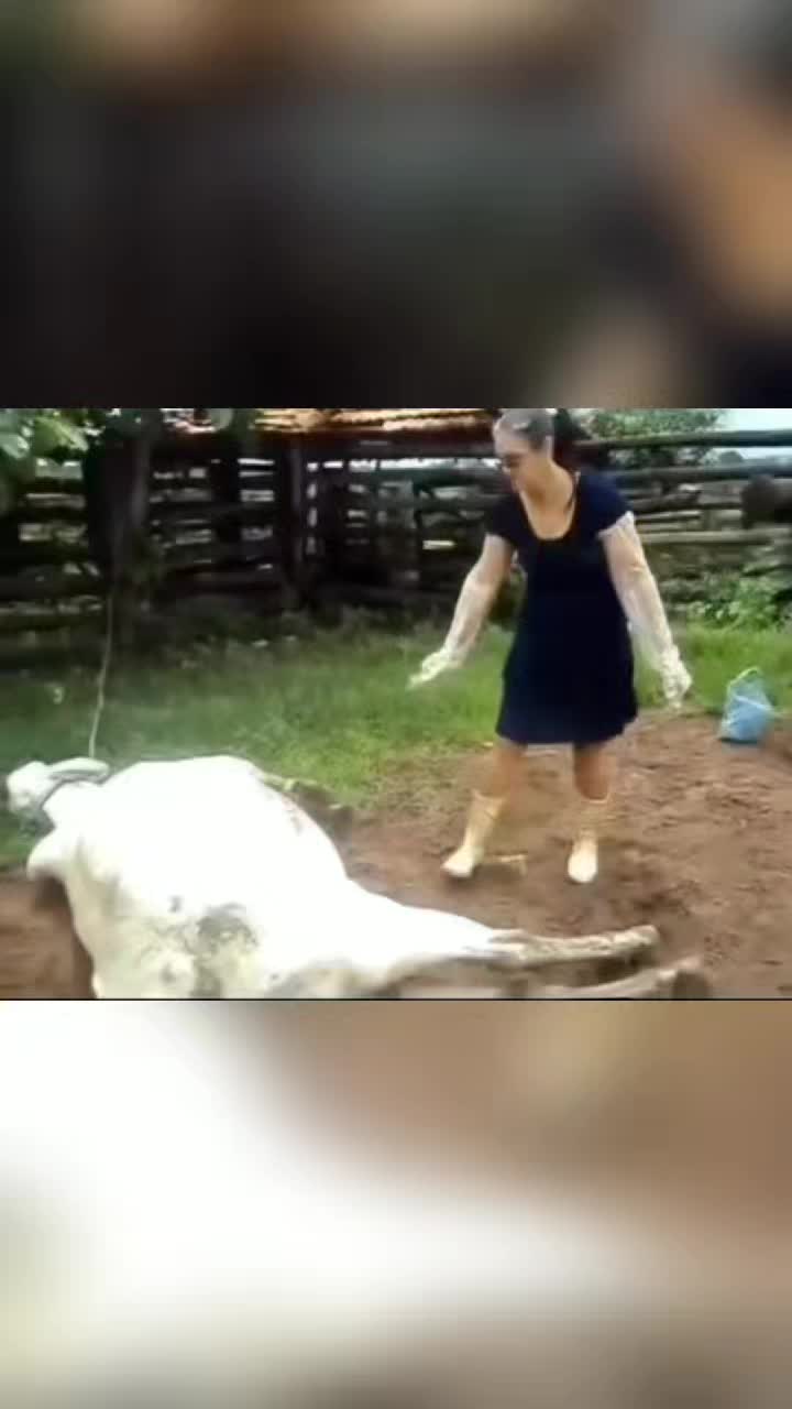 @BOBODRSUE