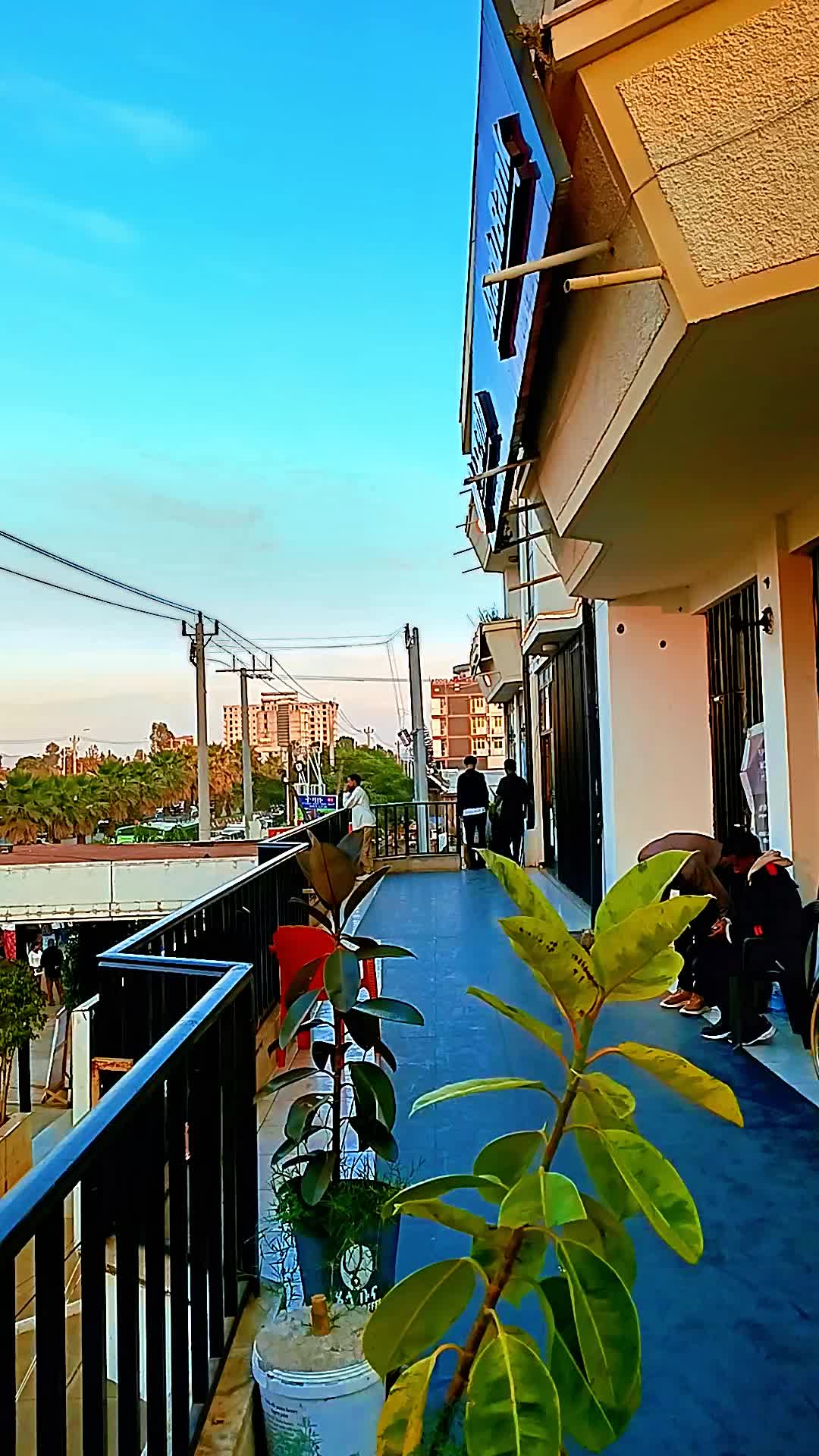 @ባህር ዳር Walker💪
