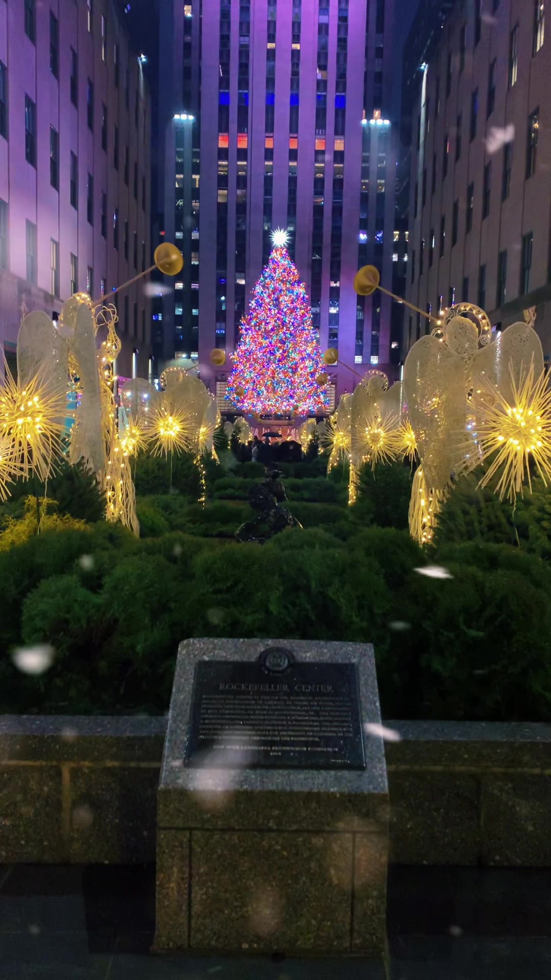 @New York City