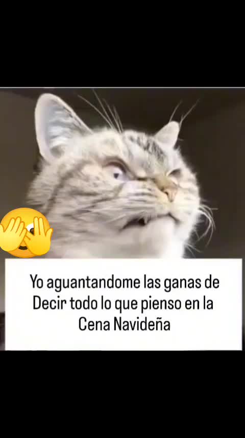 @Raulitosiquesi