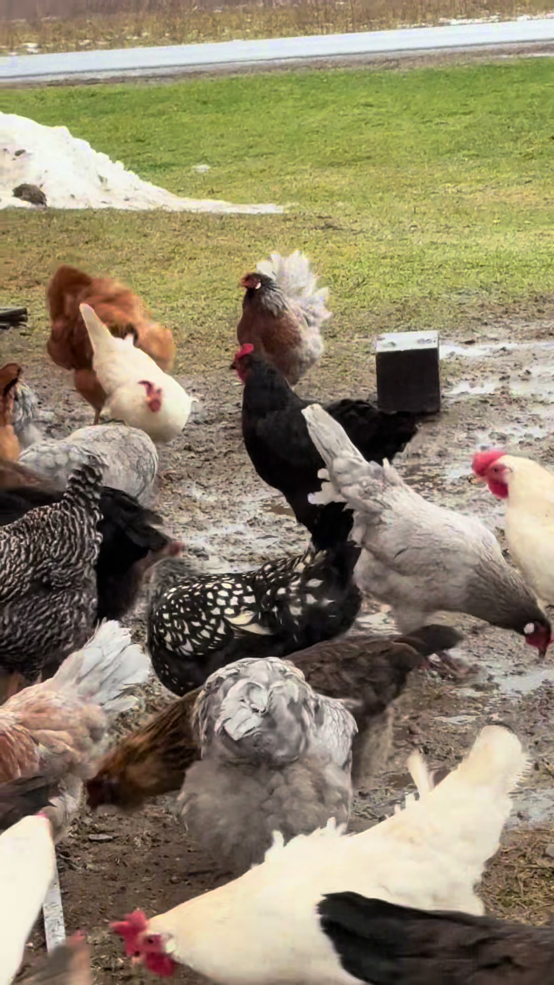 @Miller Farm