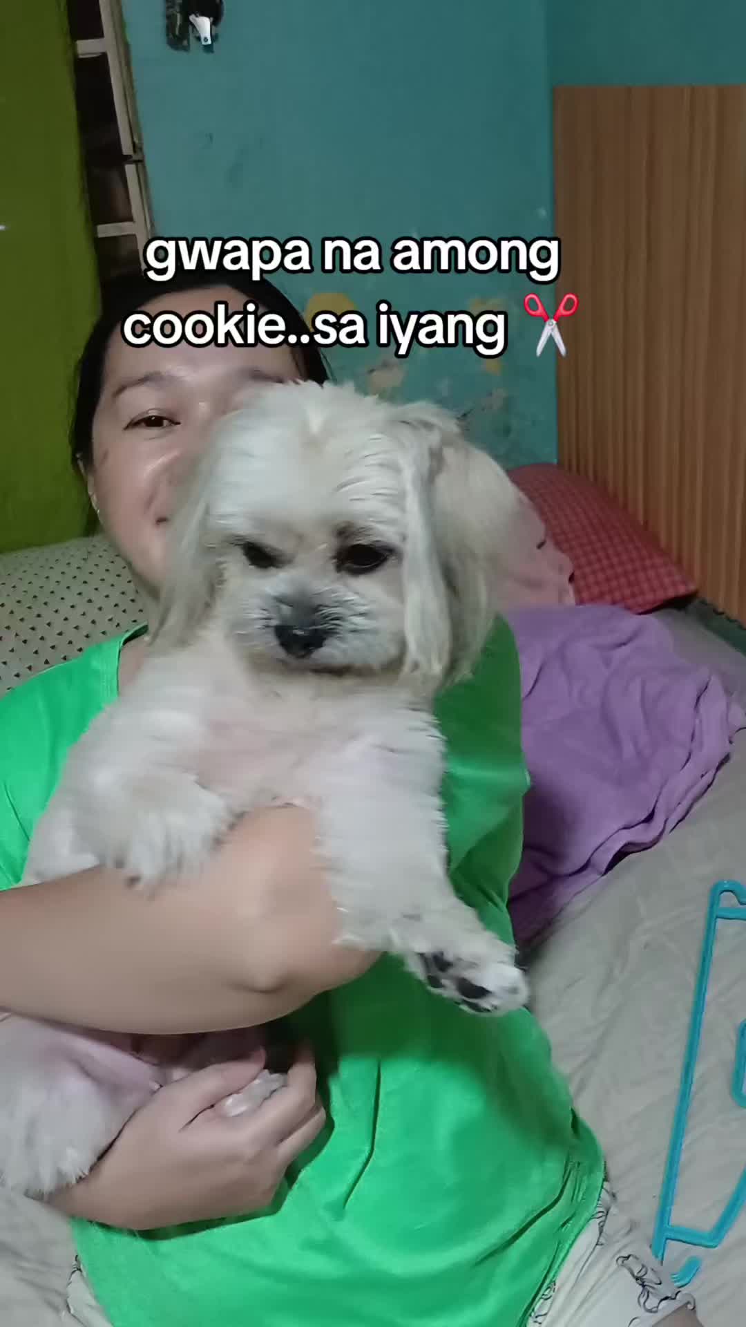 @Sherlyn Sambas