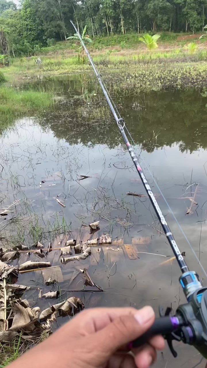 @stecu Fishing
