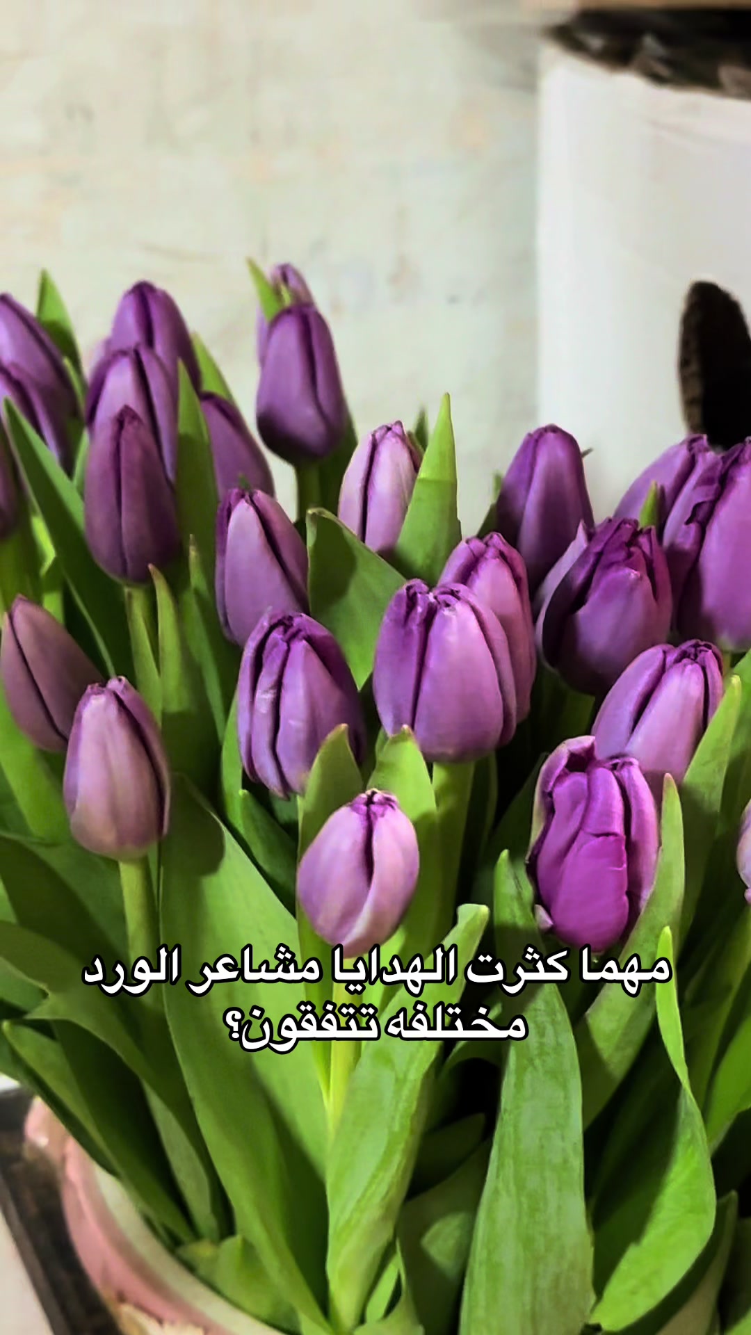@ورد شقراء هدايا شقراء