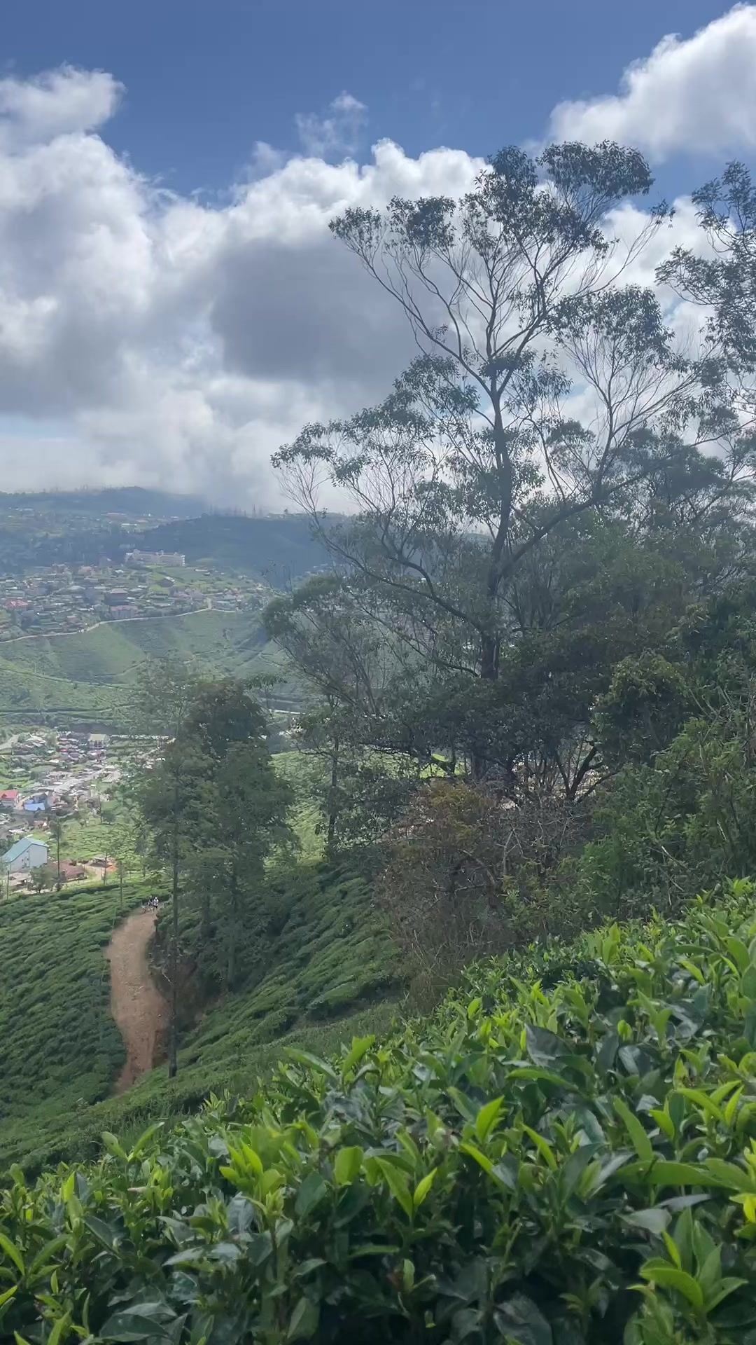 @binara thabrew