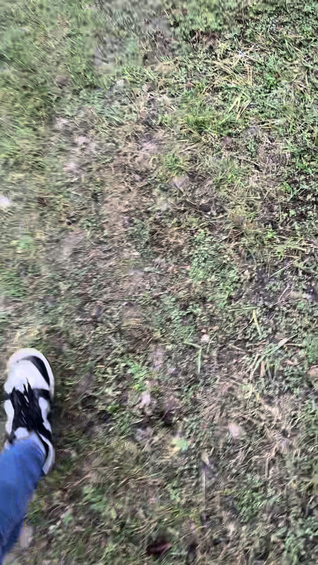 @🤍 Le_F22 🖤