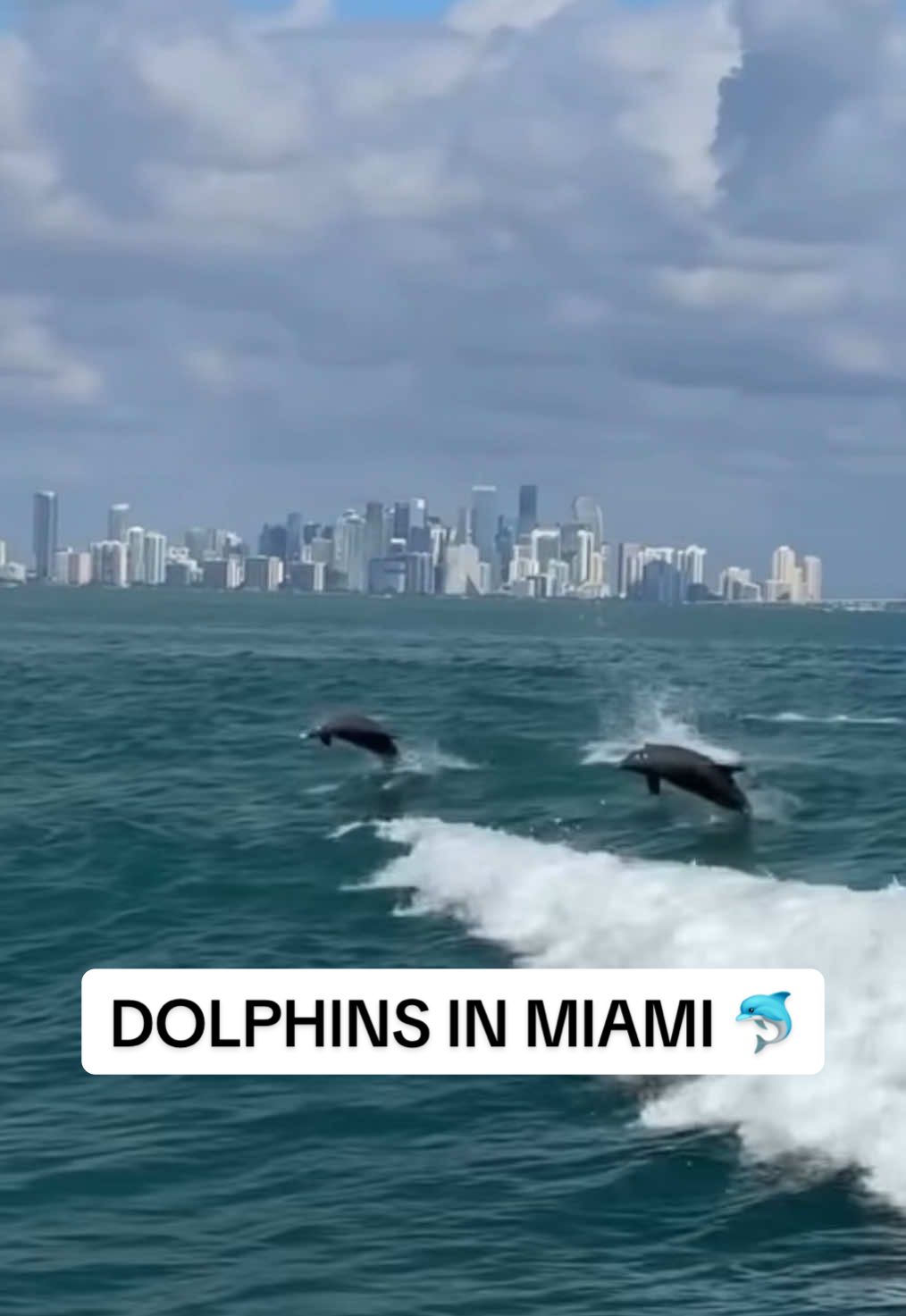 @Miami | Miami Beach