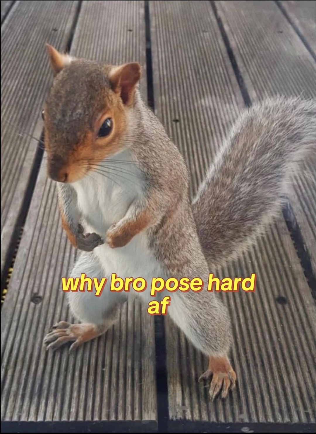 @😭✅