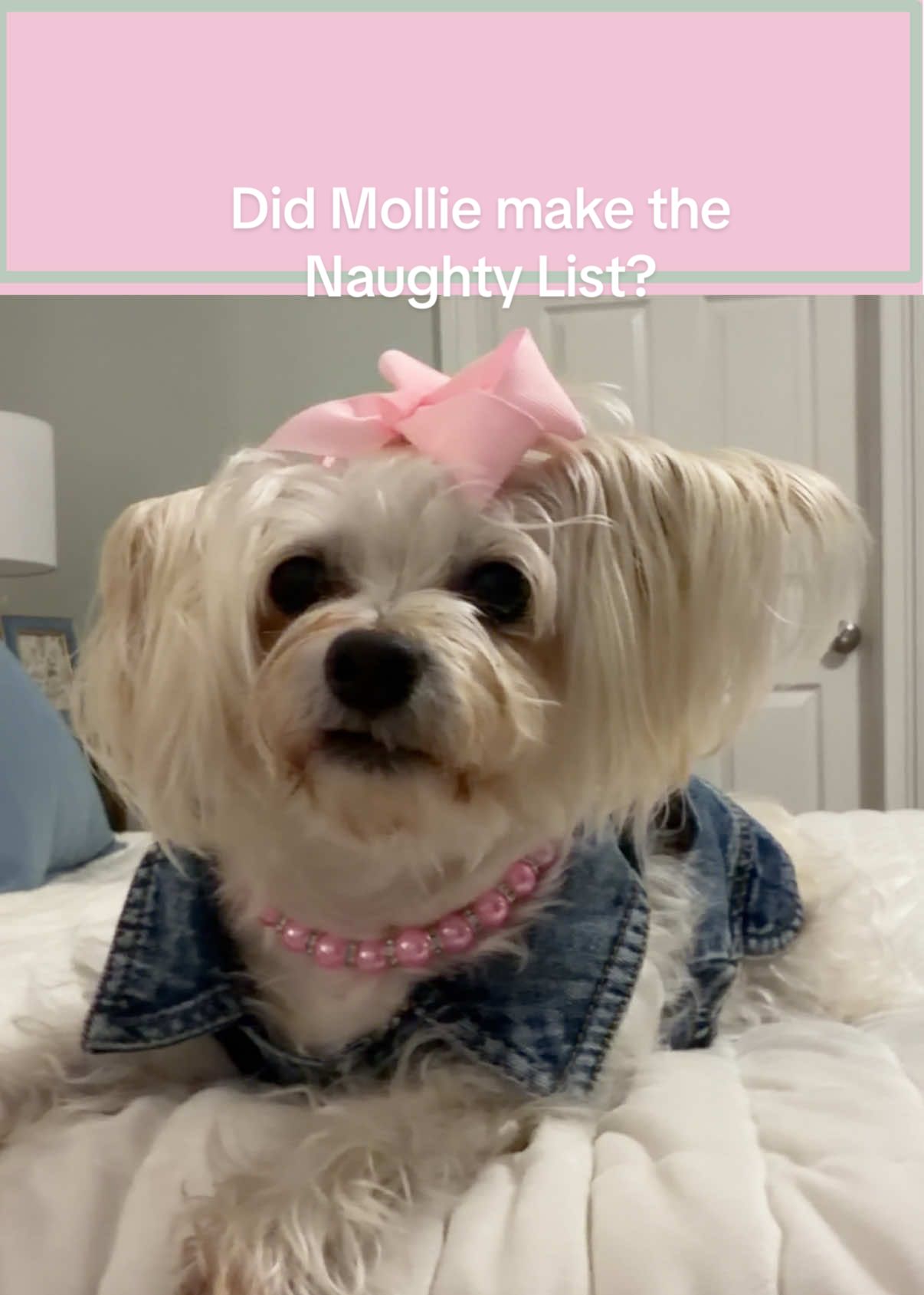 @MissBeautifulMollie