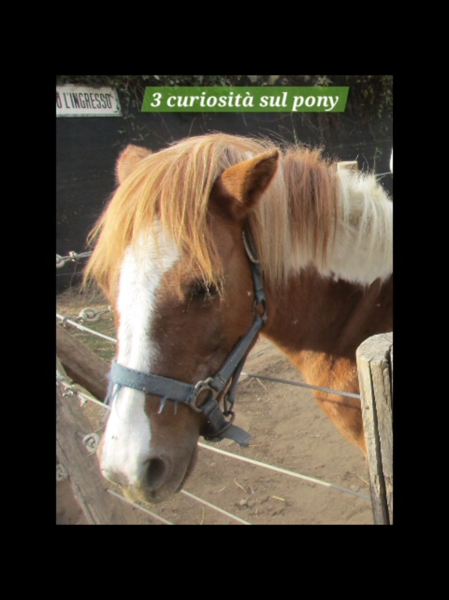 @Parco Zoo delle Star