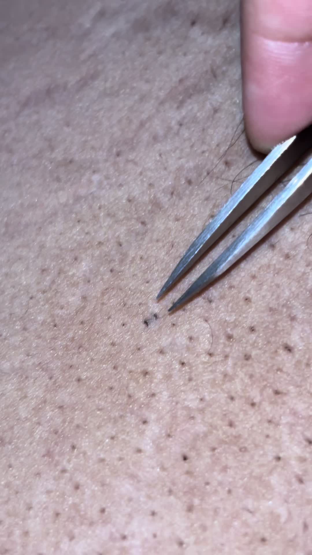 @satisyingpops