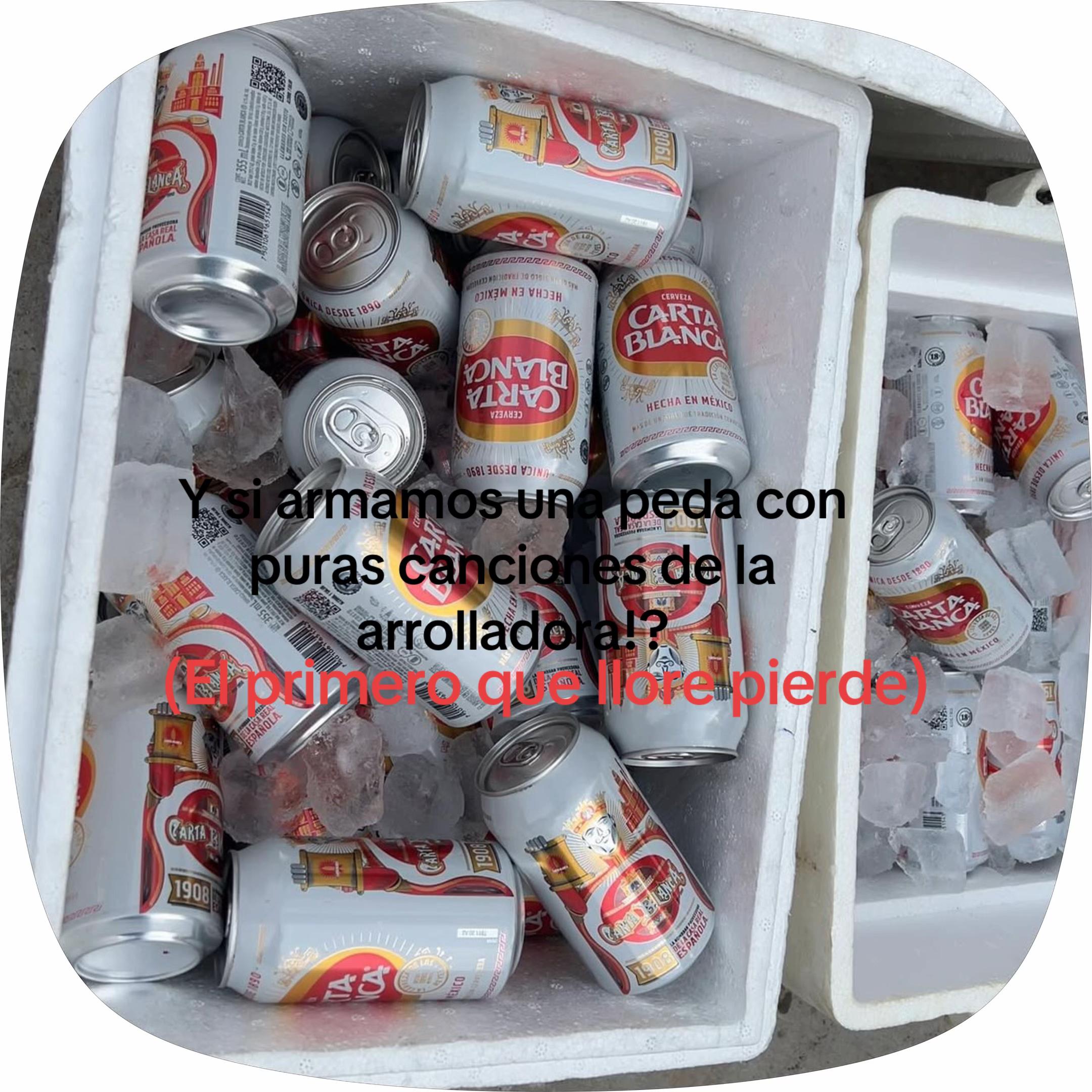 @<[ROJITAS&reg;]>