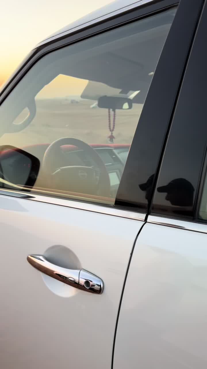 @dubaireddunessafari1