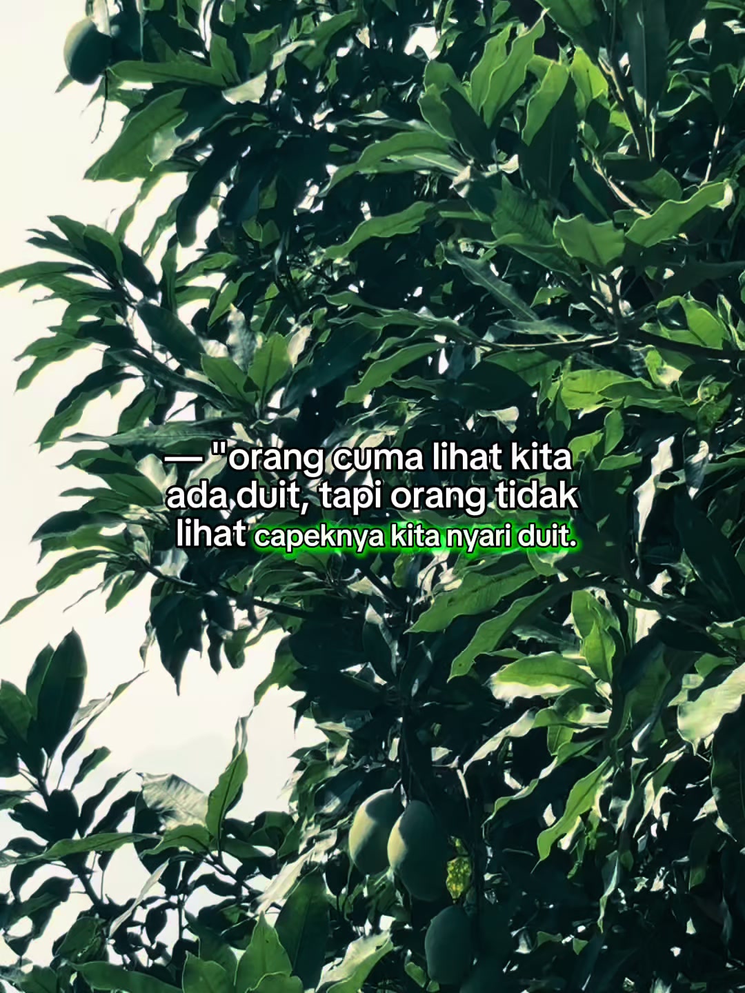 @DL 