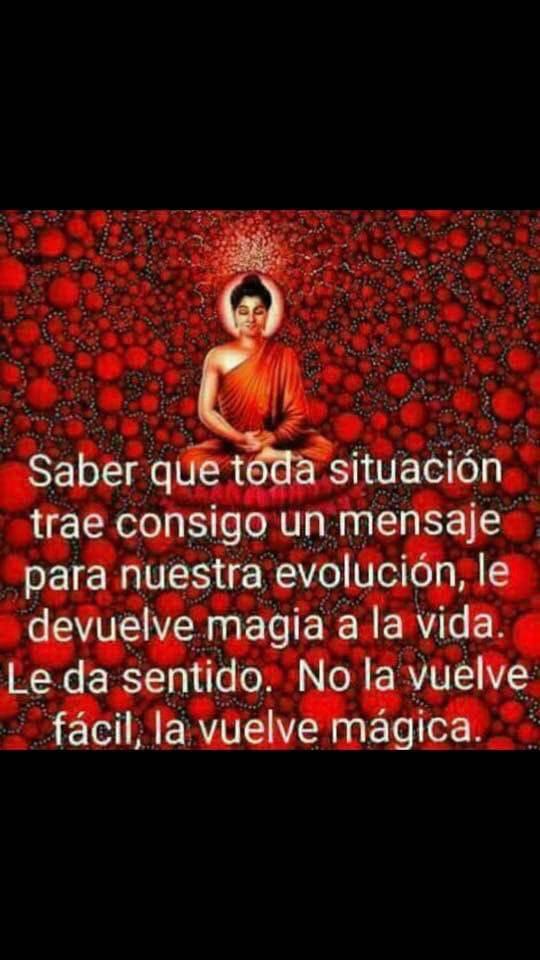 @francisca gallardo