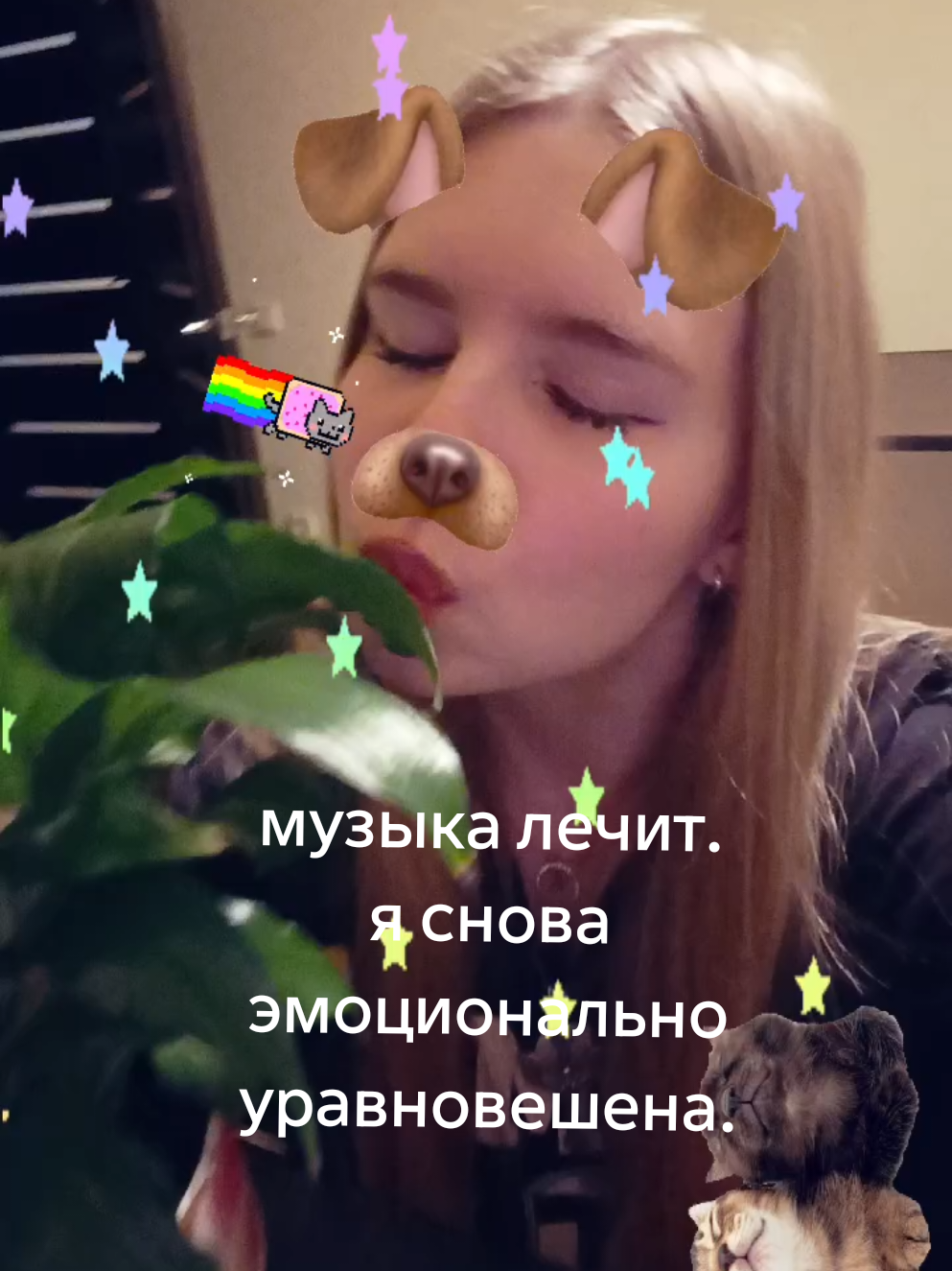 @ссвитиблисс