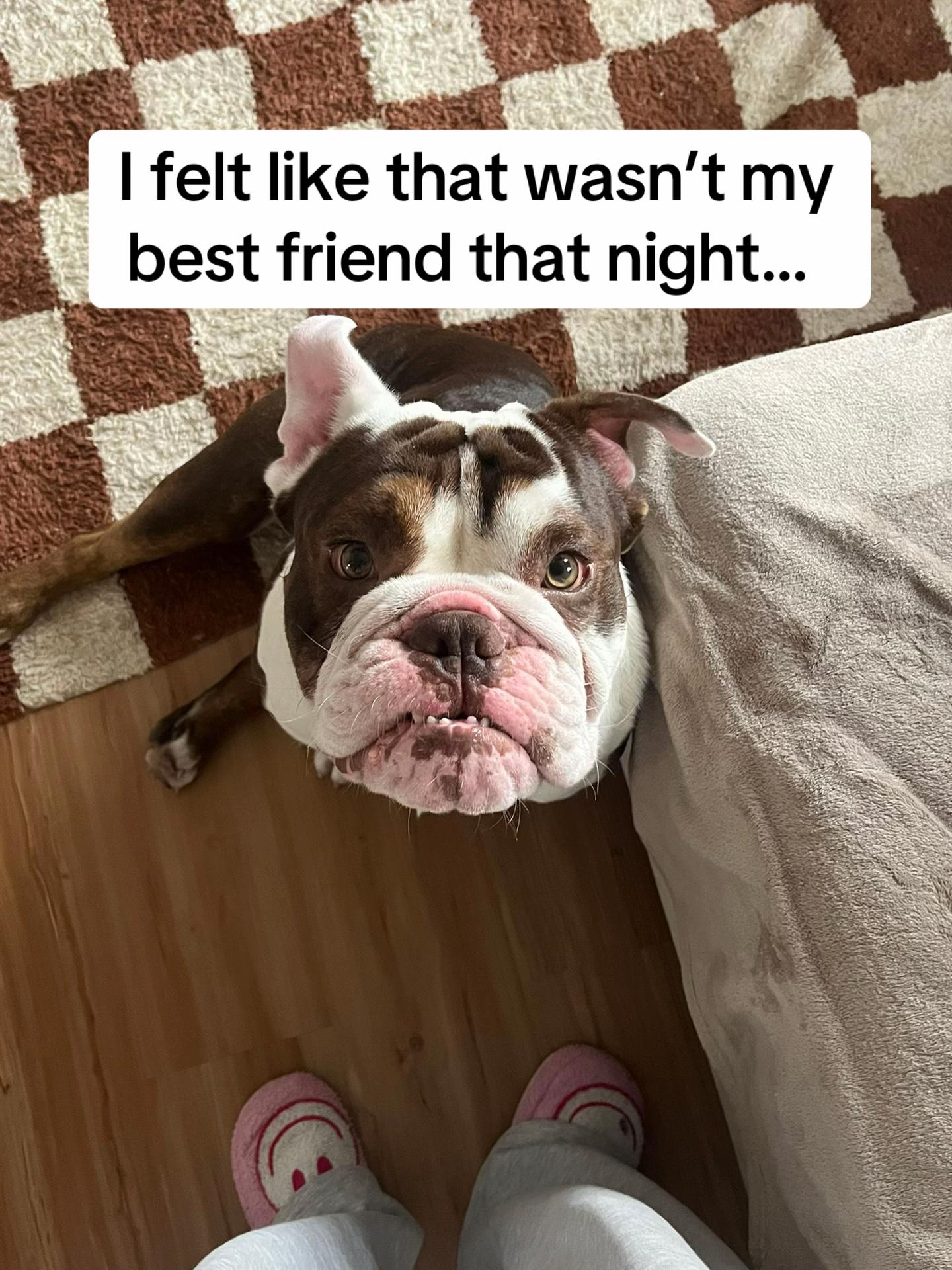 @babalou
