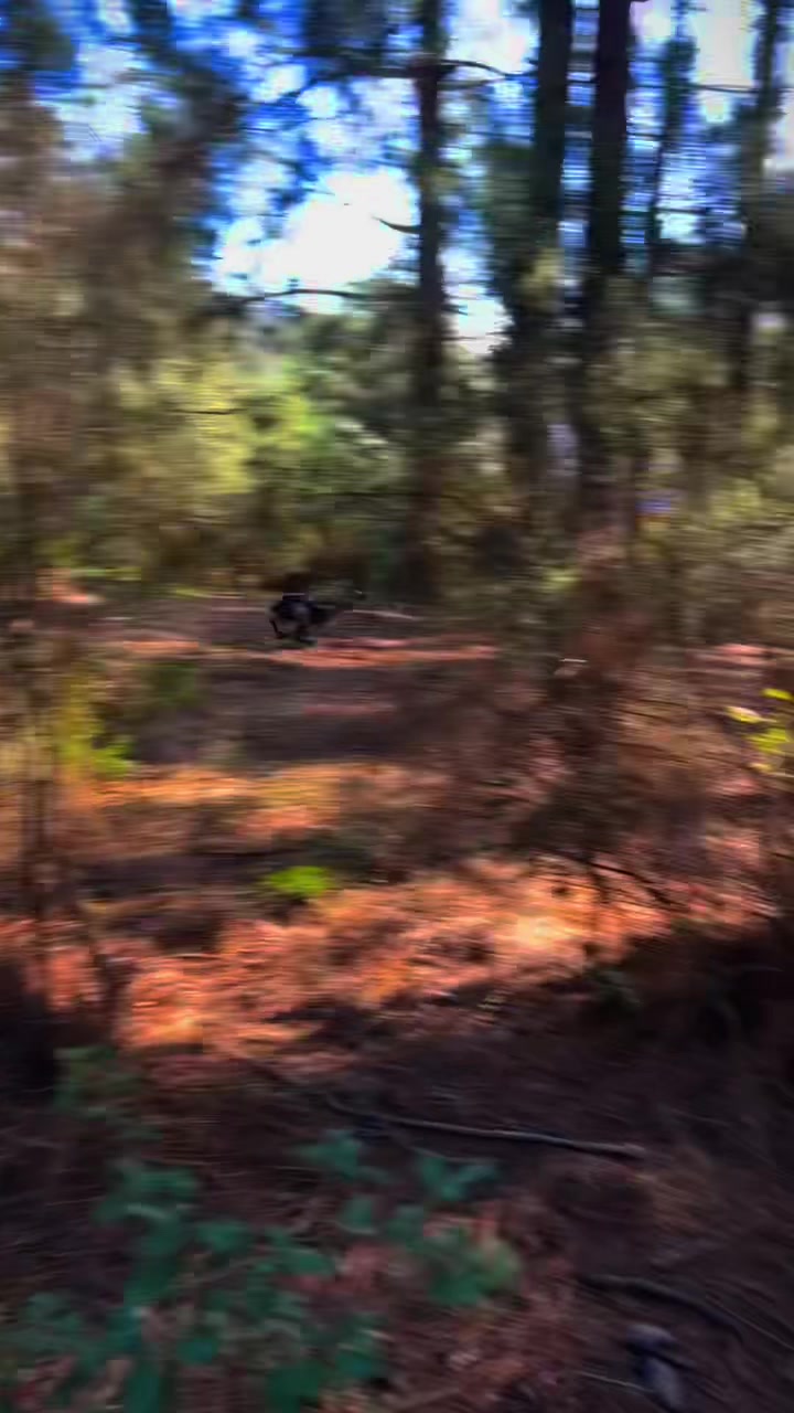 @MR-SPLINTER2A