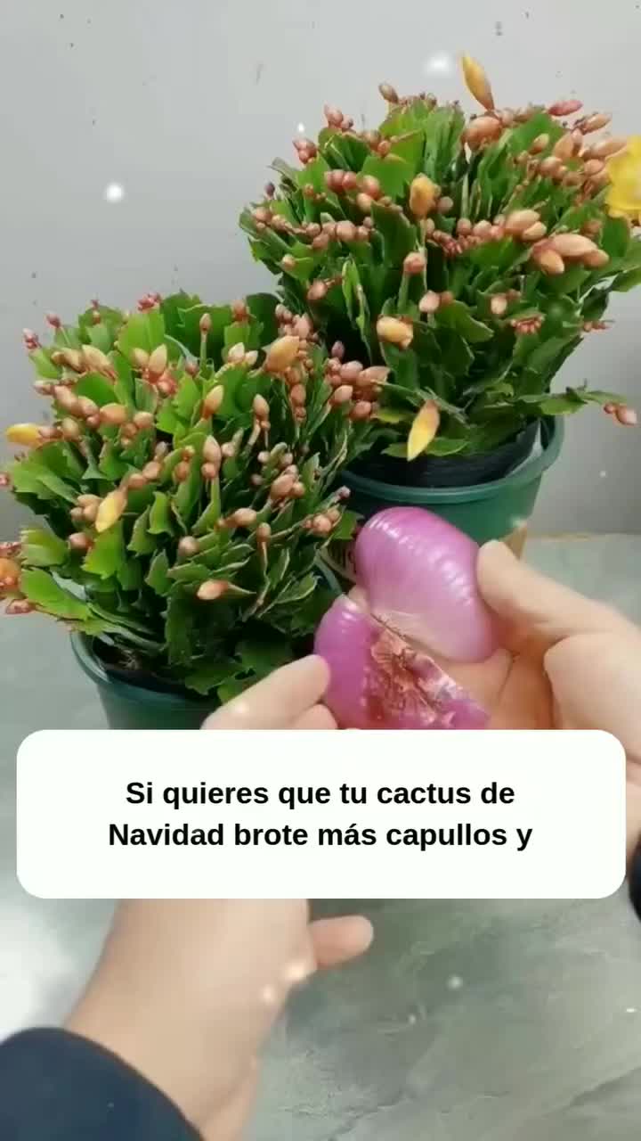@MIJARDIN
