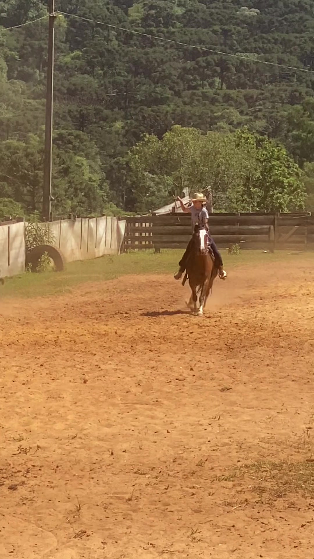 @BOIADEIRA 🐎➰🐄