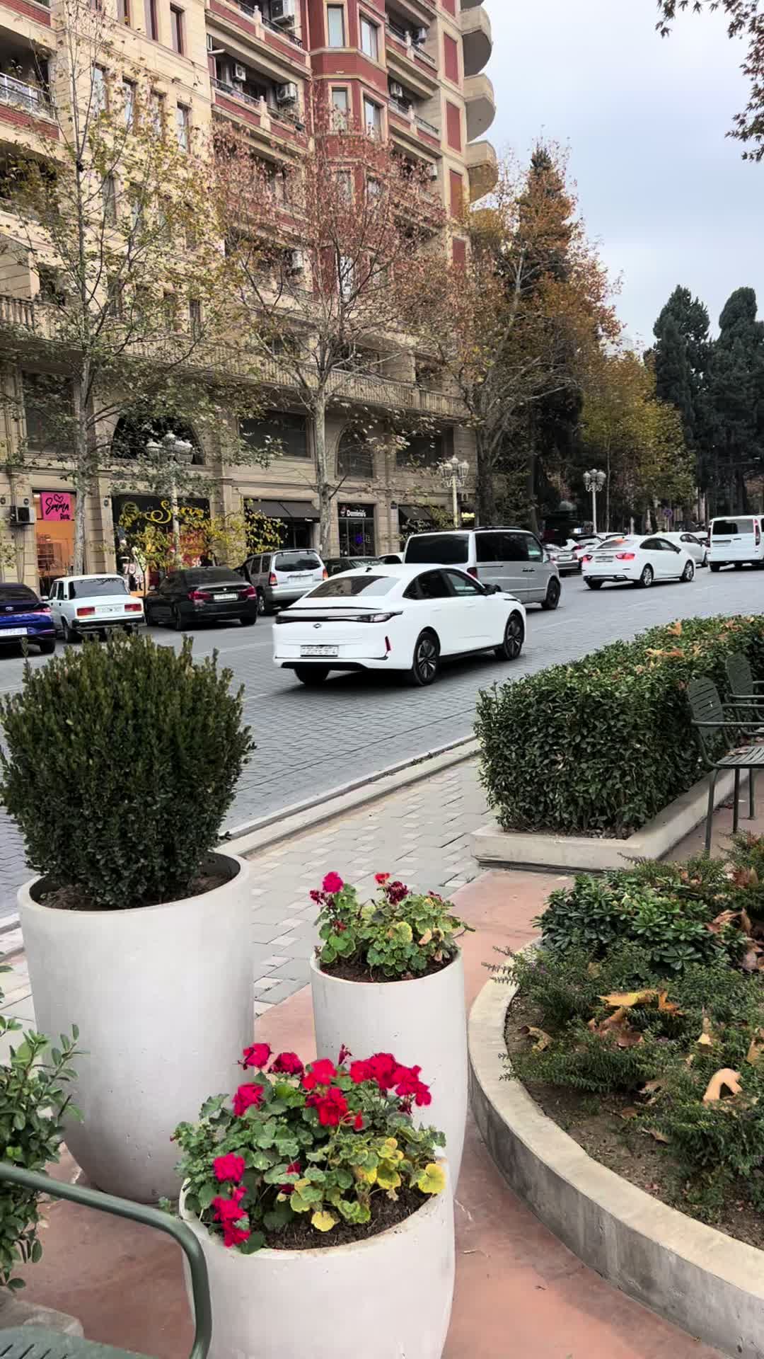 @Gəncə ⚖️