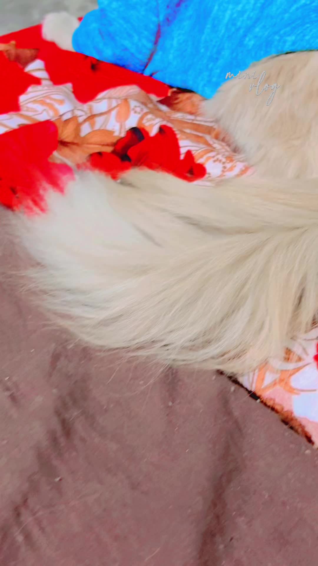 @Fatima Zahra