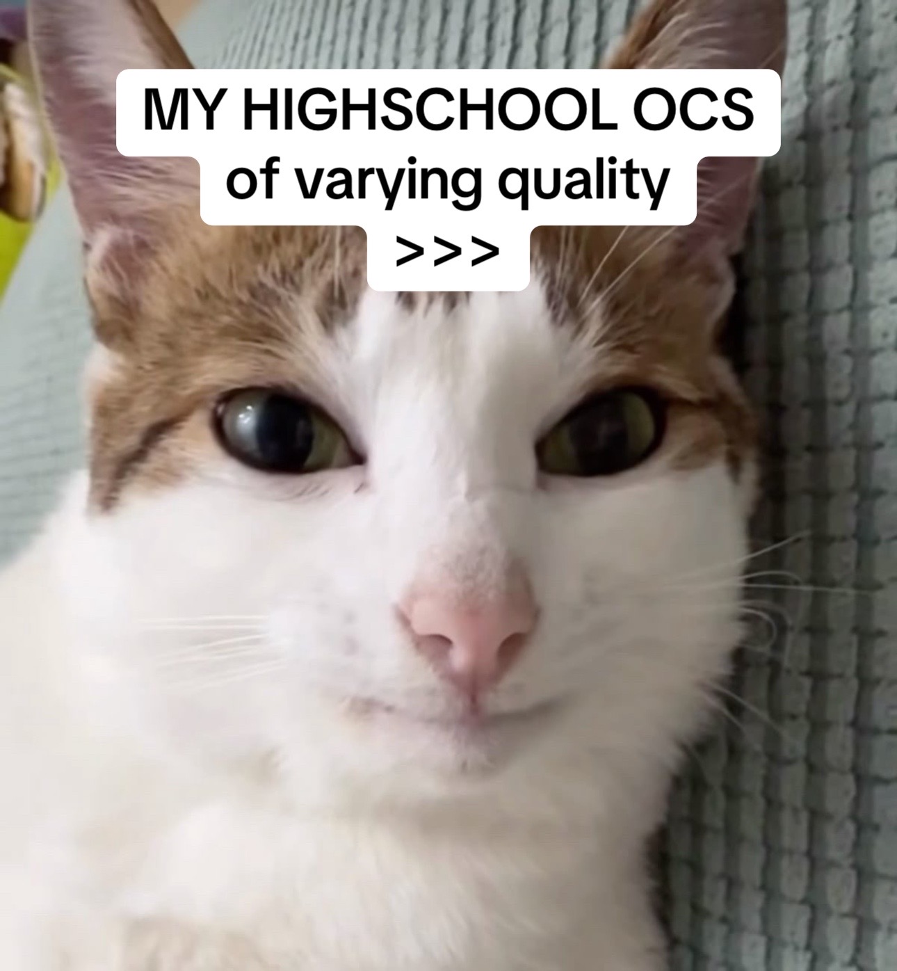 @reo