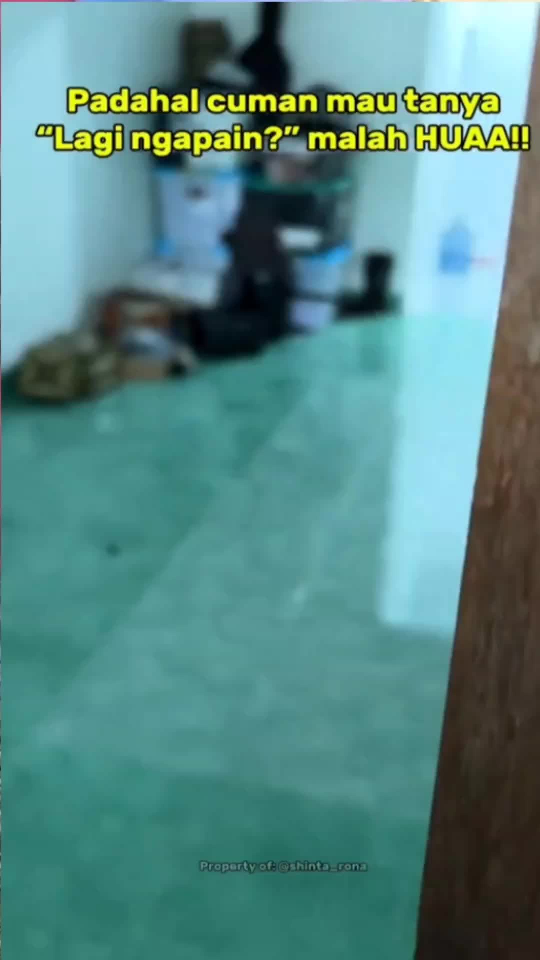 @CLIPPZZ