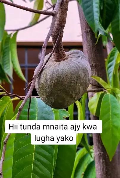 @Martha Wachira