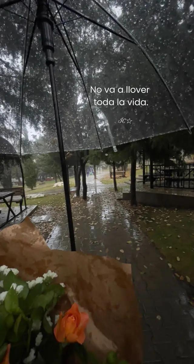 @Juany Canelas