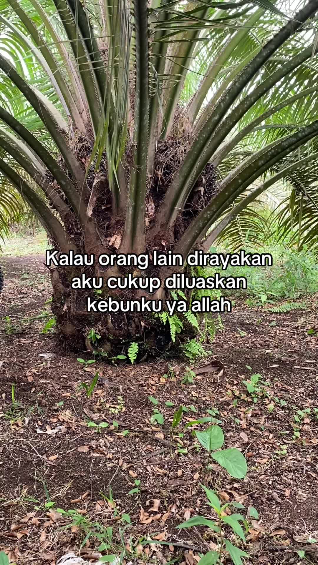 @Nildo Wiransyah