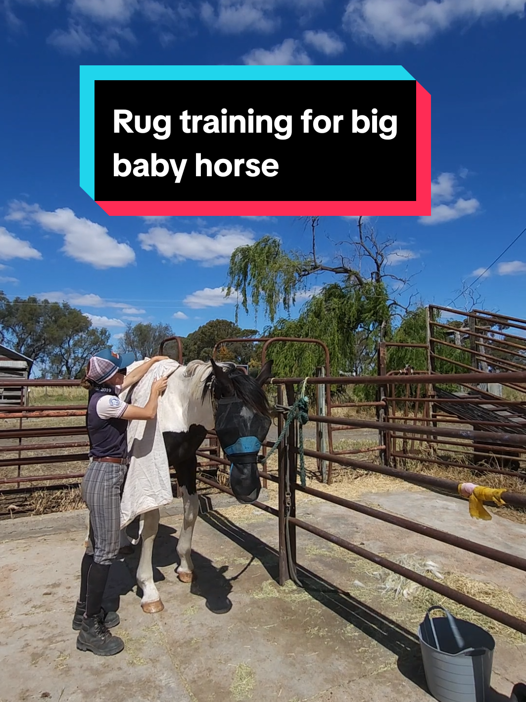 @Jess | Horse trainer