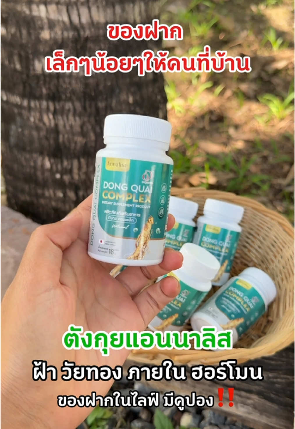 @ตังกุย แอนนาลิส ช่องบริษัท