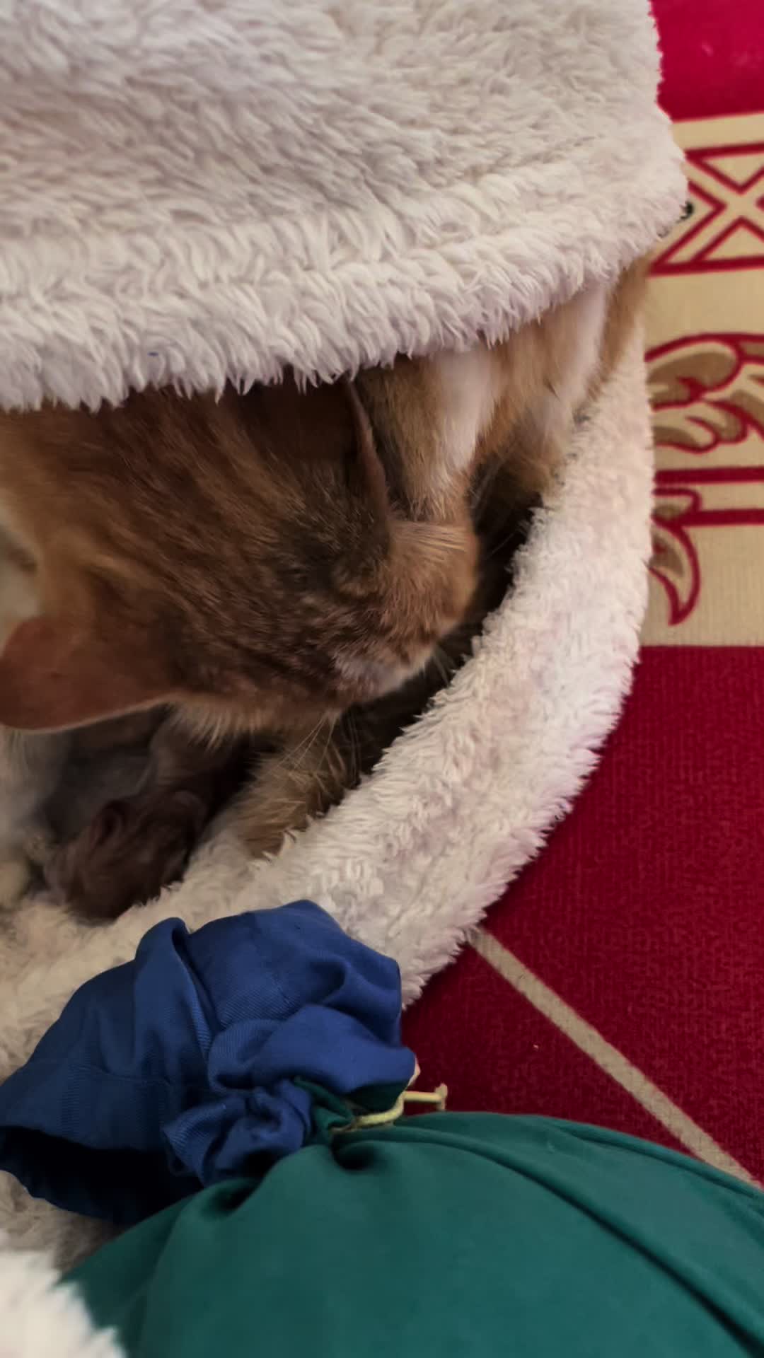 @ຄຳ ຄຳ