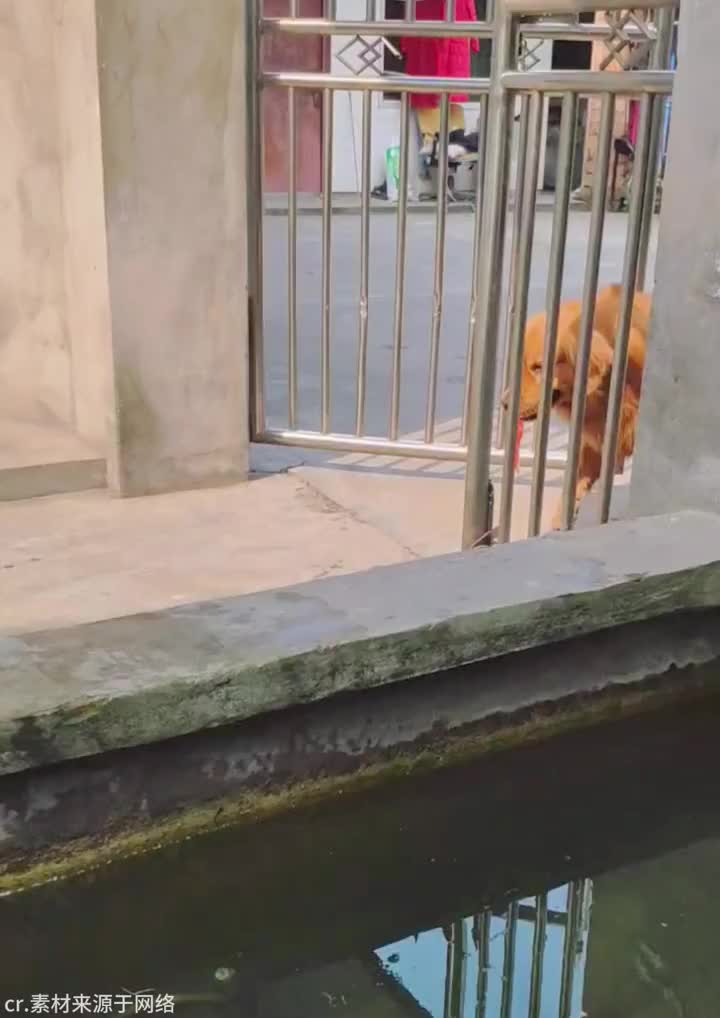 @🌞微光日記🌞