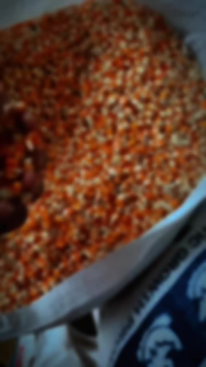 @Al697
