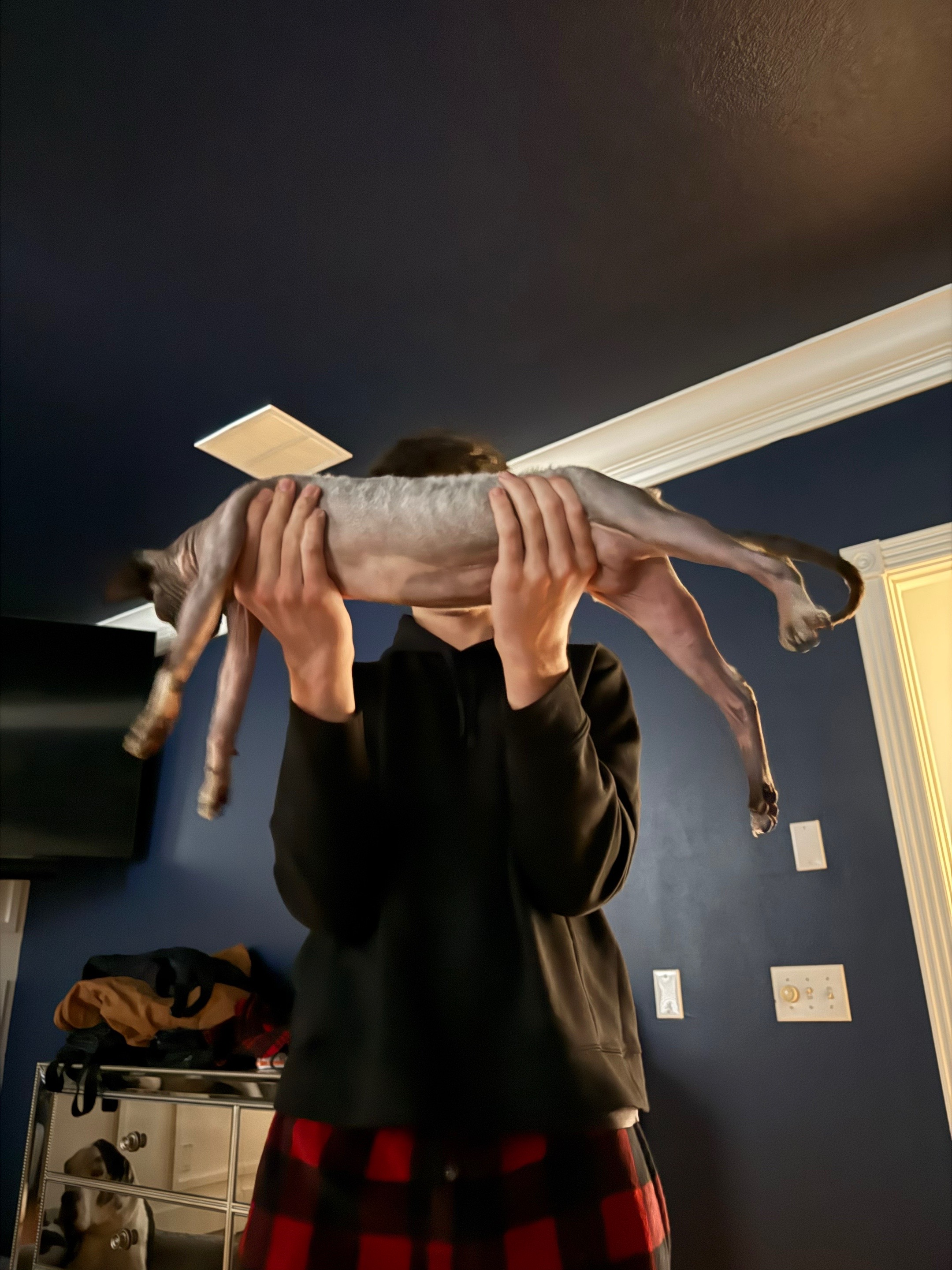 @RottenDaneLife