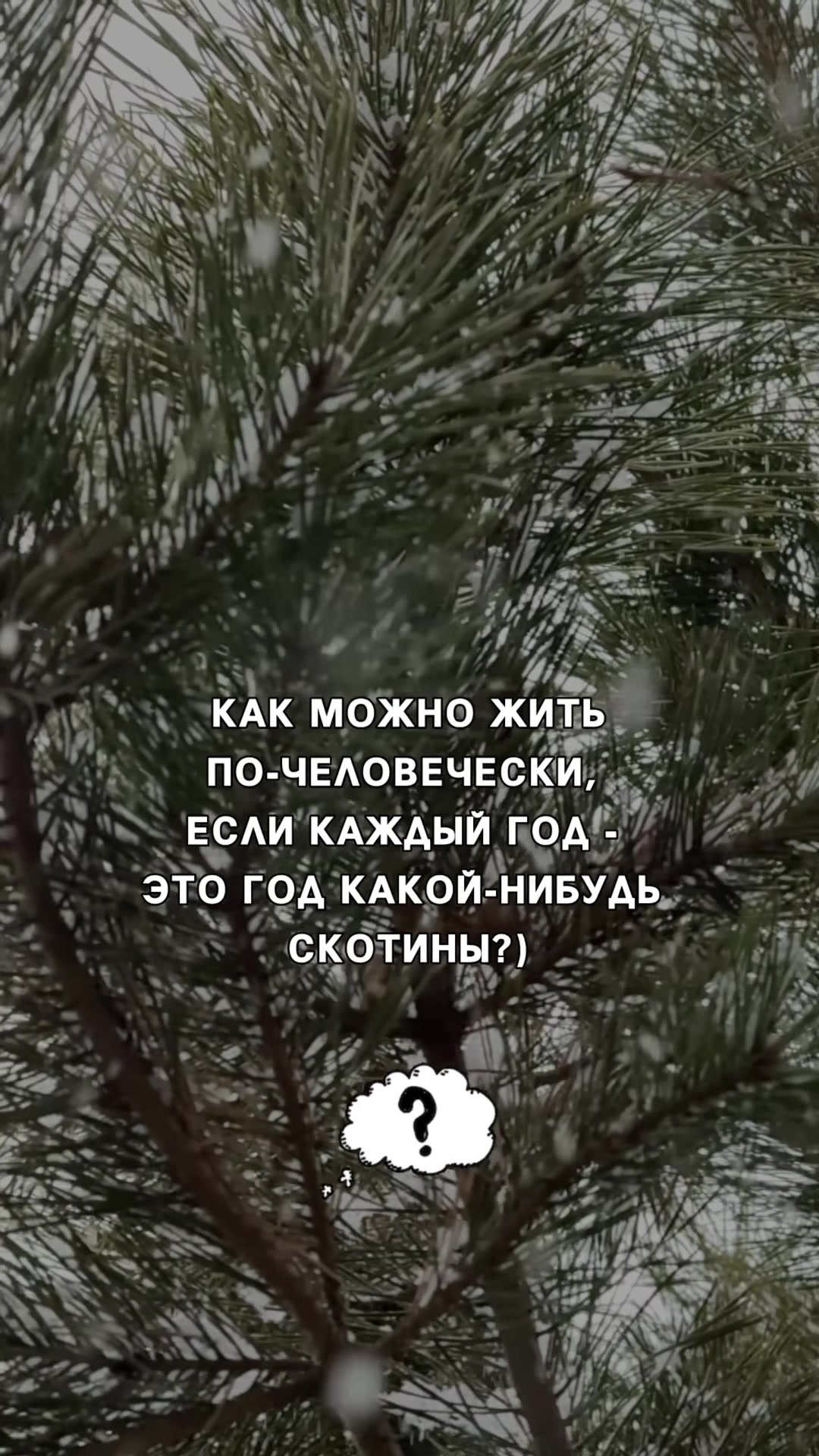 @Vera