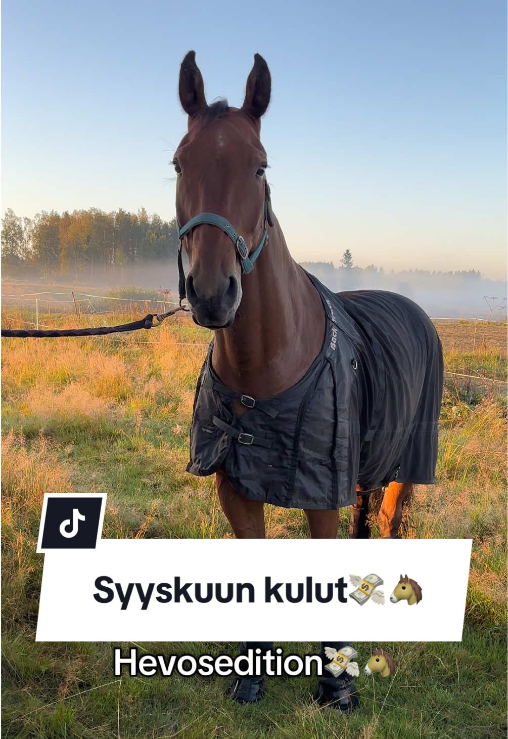 @Mansikkamäki Eventing