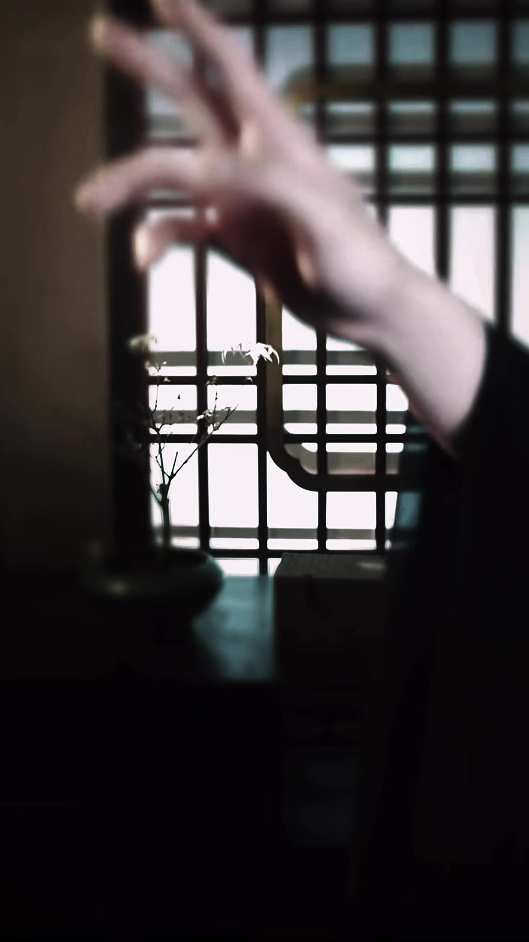 @🦢 ₊˚᪥许多丈夫的妻子᪥🪷🫧
