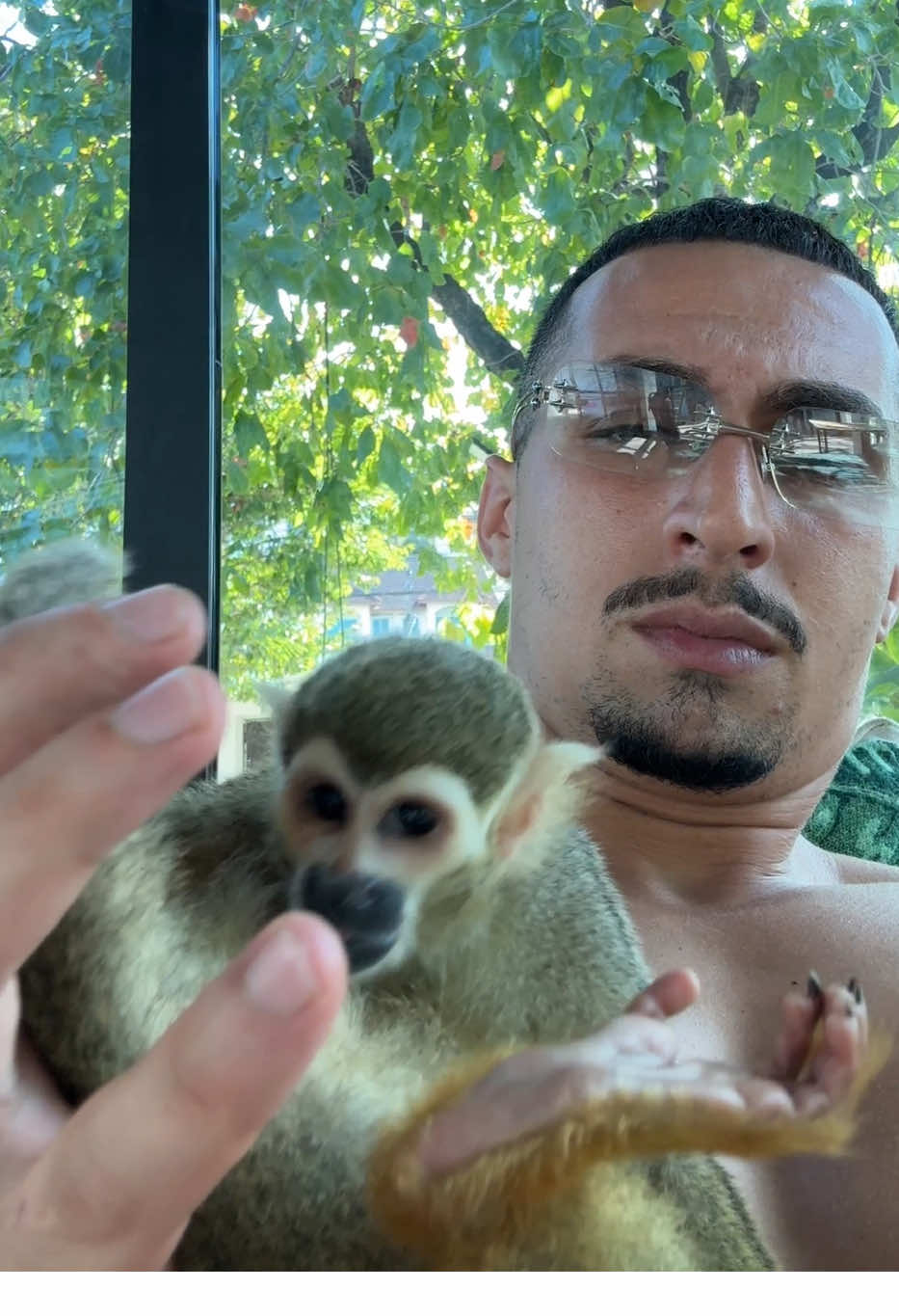 @Tarzane 🦍
