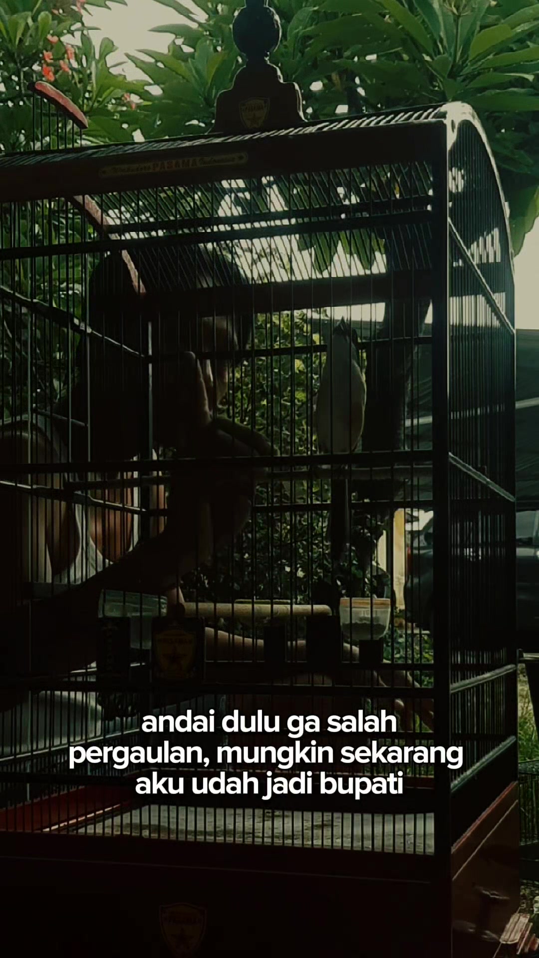 @DEN BAGUS