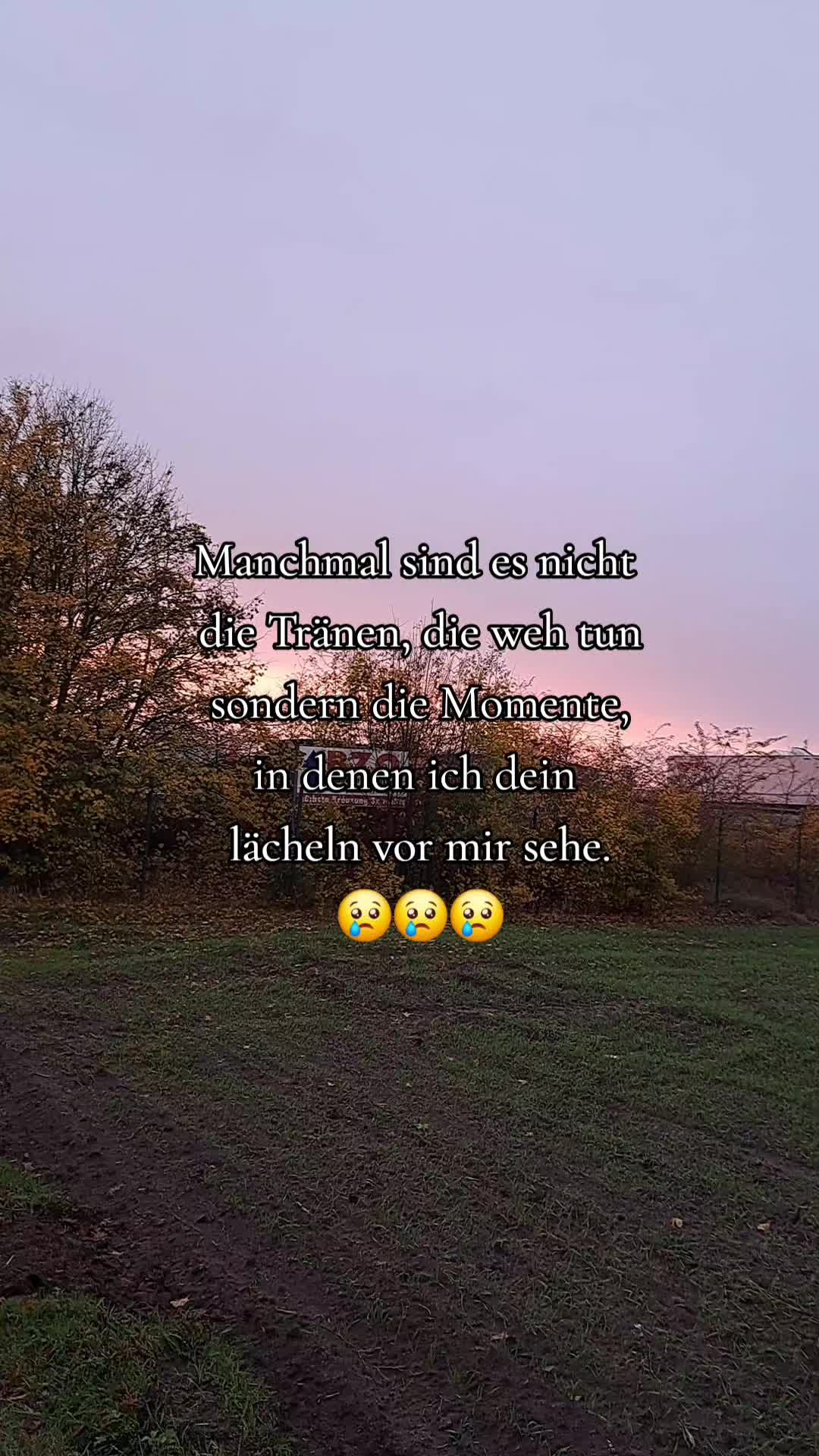 @Mr.zitat (joschy)
