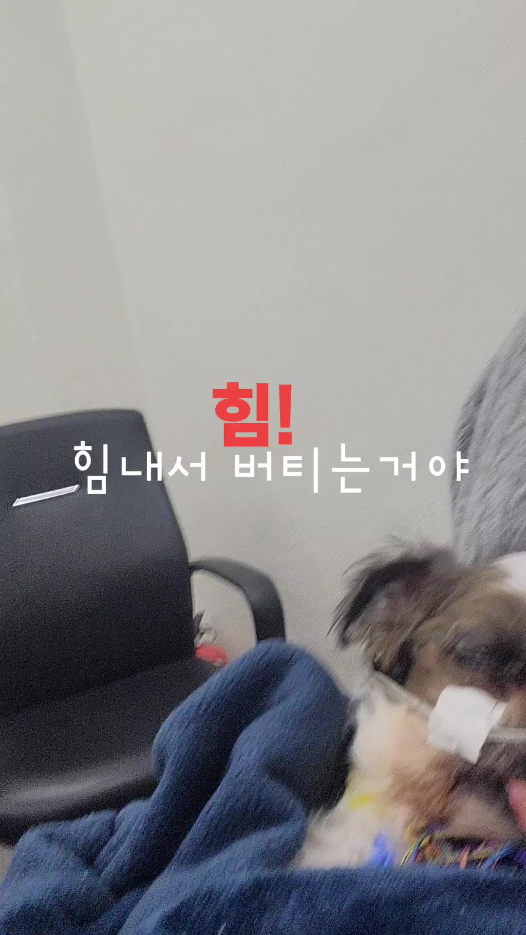 @할미니티