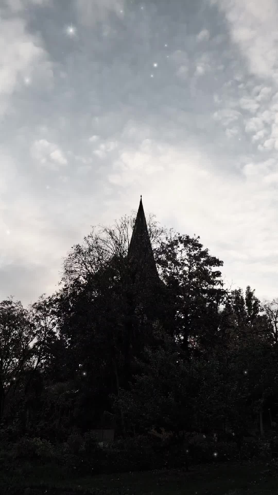 @L&ouml;winmitriesenHerz