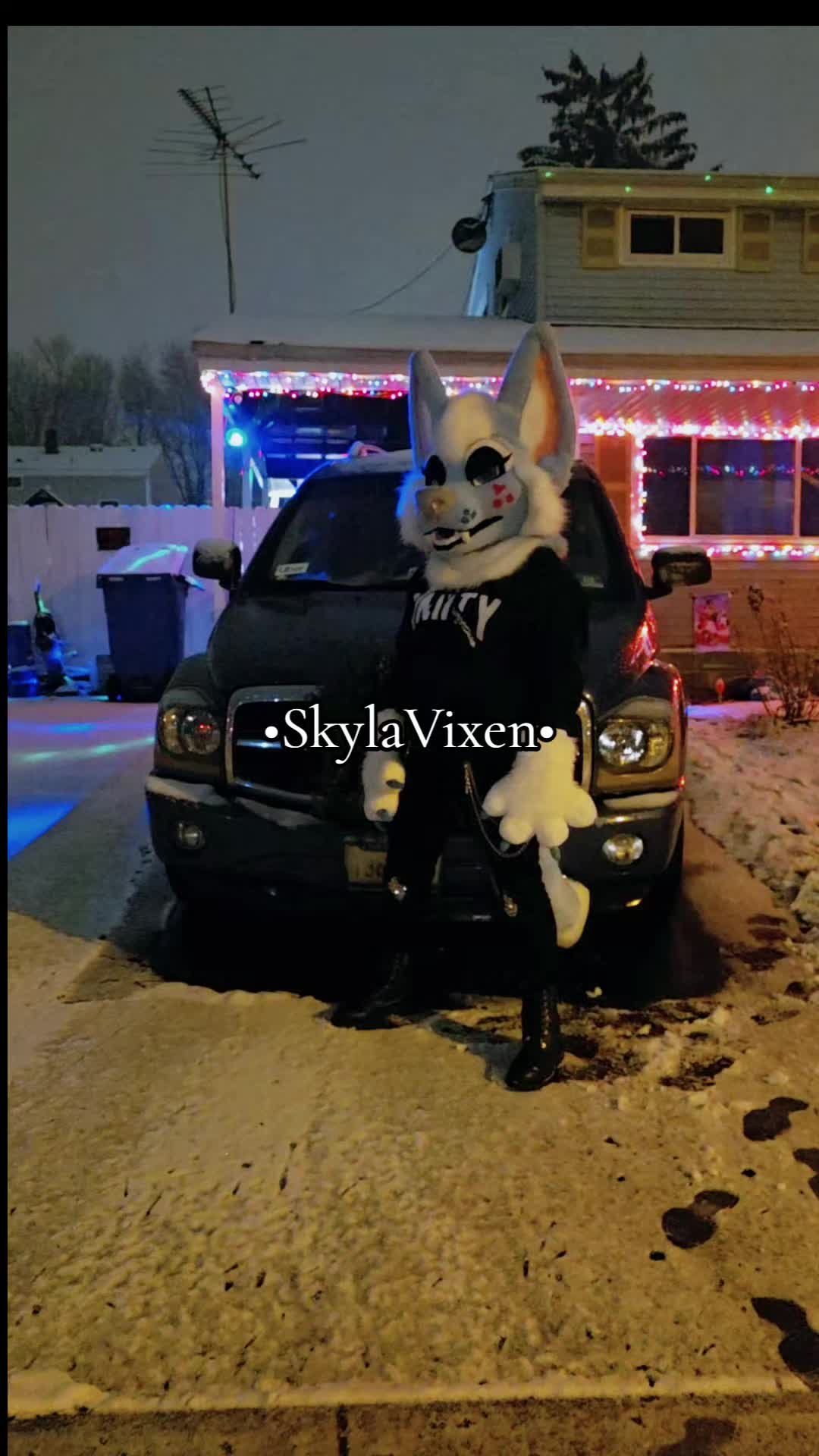 @✨️Skyla Vixen✨️