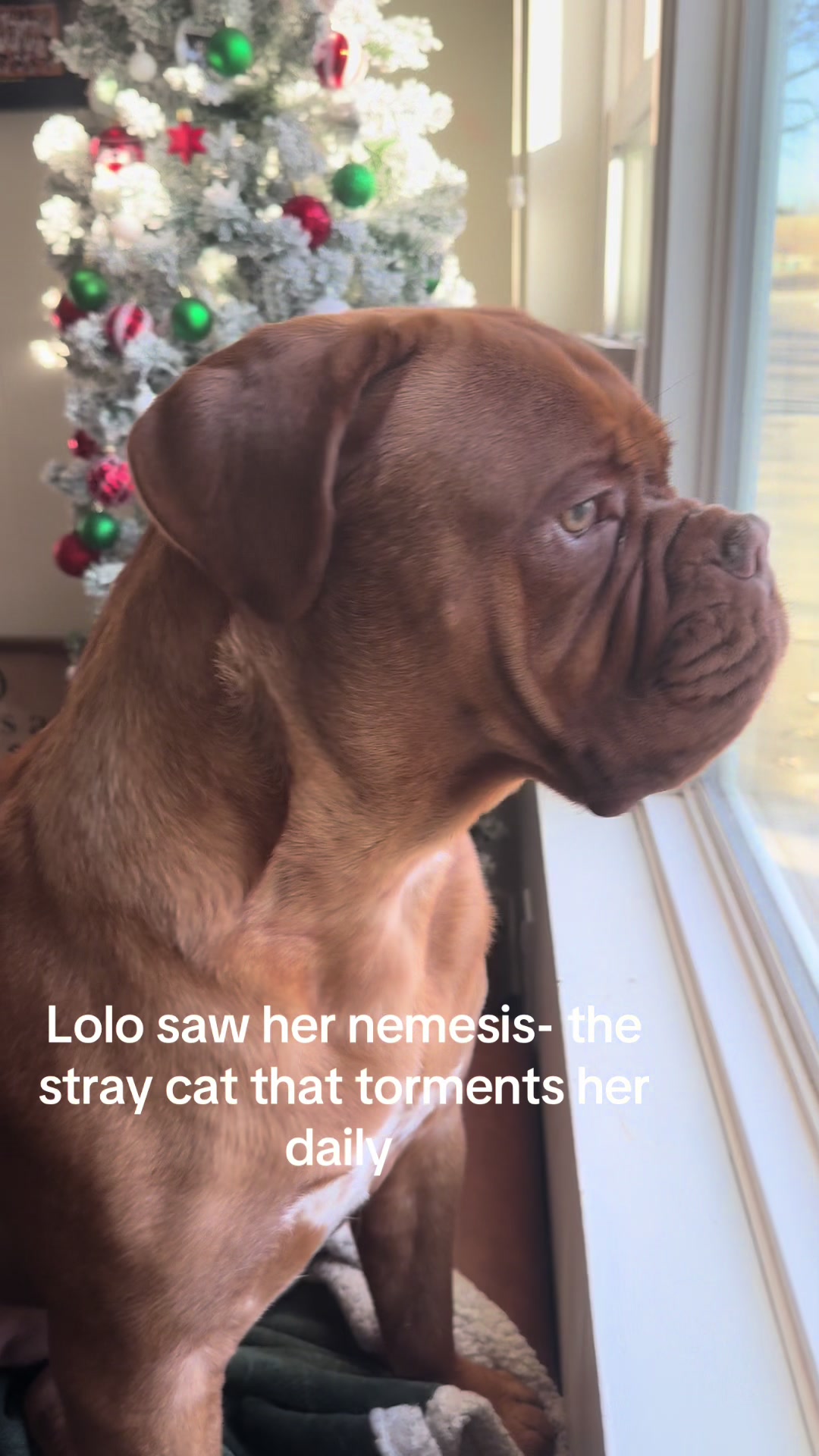 @MovingMamaMayfield